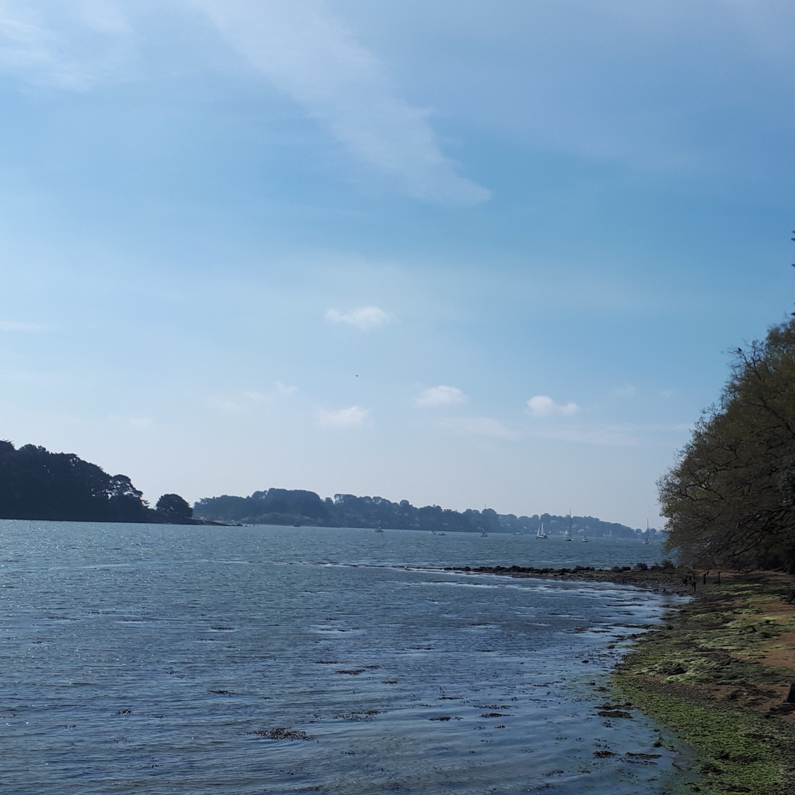 Photo de Jean-Pierre LELIÈVRE